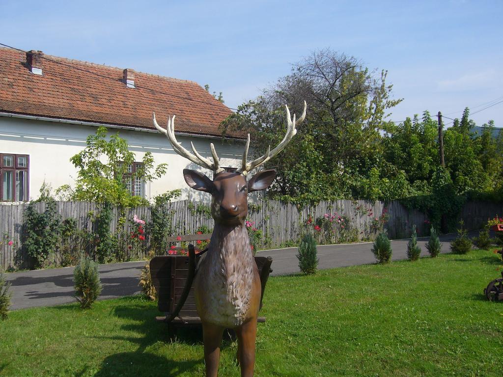 Pensiunea Mara Baiculesti Exteriör bild